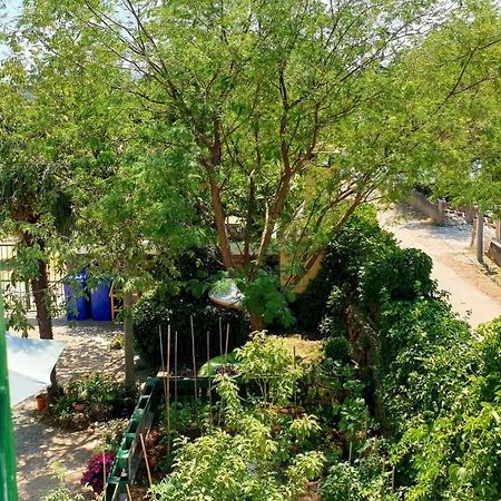 Apartmani Paron Sime Seline Zewnętrze zdjęcie