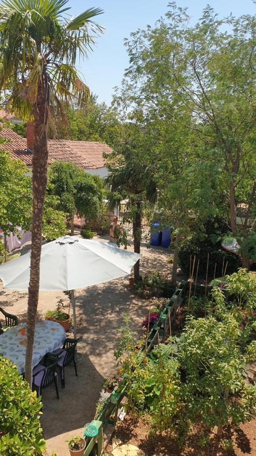 Apartmani Paron Sime Seline Zewnętrze zdjęcie